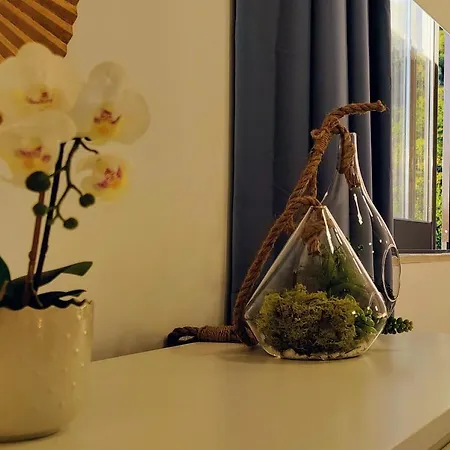 Stylish And Elegant Studio - Best View And Location In Coimbra Downton Exterior photo