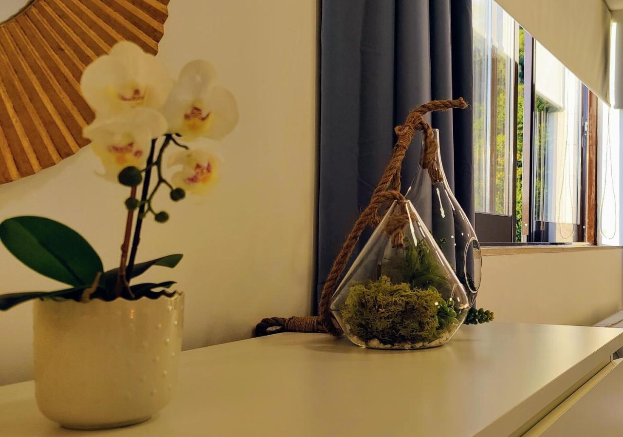 Stylish And Elegant - View And Location In Downton Apartment Coimbra